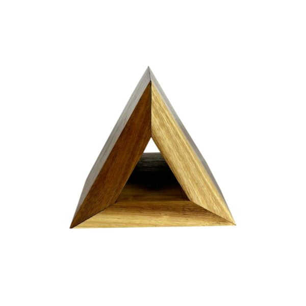 Alpha Phantom Creations Bookworm Designer Wooden Triangular-Shaped Book Page Holder front view with Varnish Gloss Alpha Phantom Creations Bookworm Designer Wooden Triangular-Shaped Book Page Holder front view with Varnish Gloss