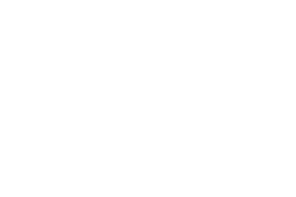 Alpha Phantom Creations is in partnership with Collivery.net