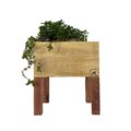 Alpha Phantom Creations Designer Wooden Pot Plant Stand Weatherman with plant front view